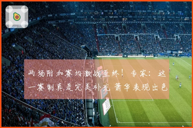 两场附加赛均激战至终！专家：这一赛制真是完美补充 萧华表现出色